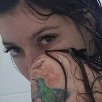 dreamnc Nue